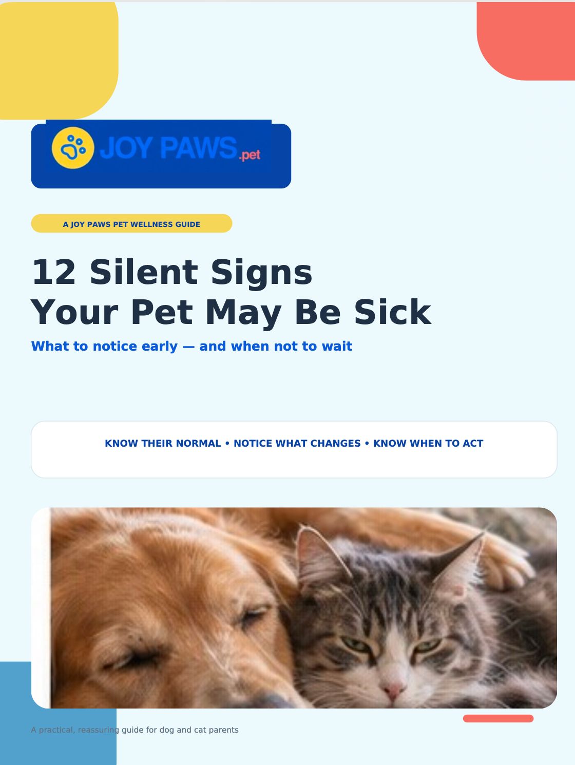 12 Silent Signs Pet Health Guide