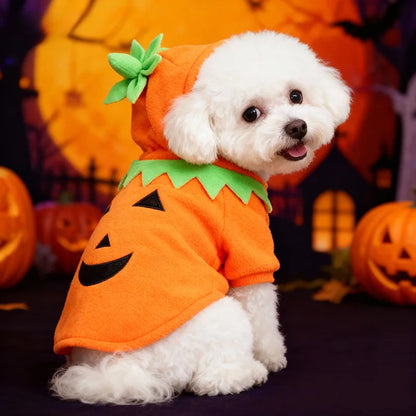 Hot Sale Halloween Pumpkin Pet Costume Autumn Winter Transformed Outfit Casual Daily Clothes For Dogs