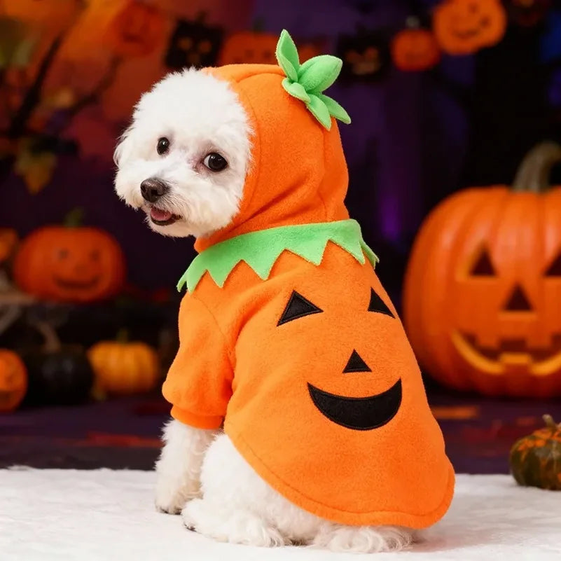 Hot Sale Halloween Pumpkin Pet Costume Autumn Winter Transformed Outfit Casual Daily Clothes For Dogs