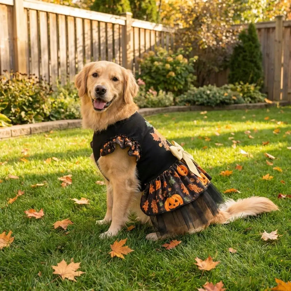 Funny Pumpkin Print Halloween Dog Dress Mesh Big Bow Decor Dog Maple Leaf Print Dress Breathable Dog Clothes Halloween Party