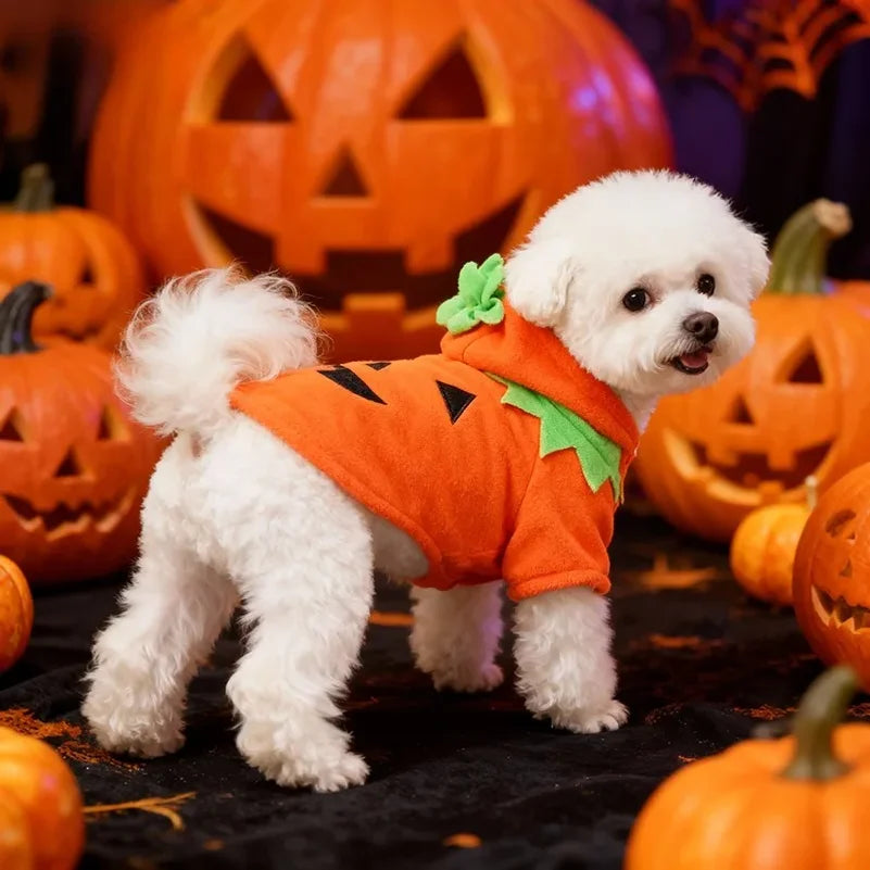 Hot Sale Halloween Pumpkin Pet Costume Autumn Winter Transformed Outfit Casual Daily Clothes For Dogs