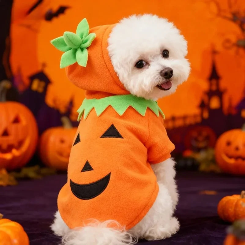Hot Sale Halloween Pumpkin Pet Costume Autumn Winter Transformed Outfit Casual Daily Clothes For Dogs