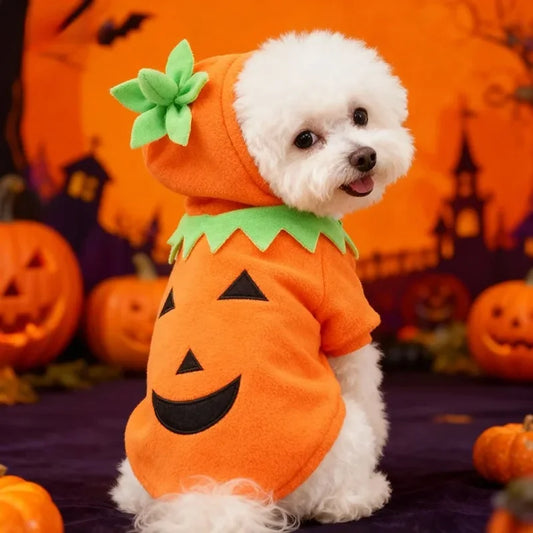 Hot Sale Halloween Pumpkin Pet Costume Autumn Winter Transformed Outfit Casual Daily Clothes For Dogs